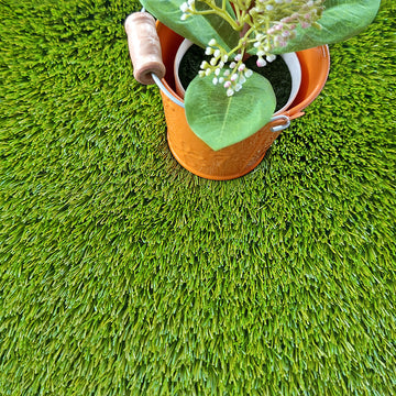 Amur Astro Turf Detailed